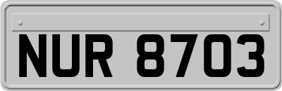NUR8703