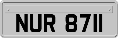NUR8711