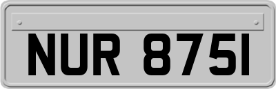NUR8751