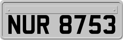 NUR8753