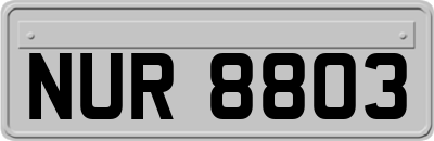 NUR8803
