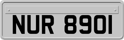 NUR8901