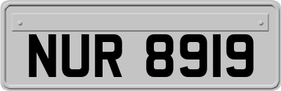 NUR8919