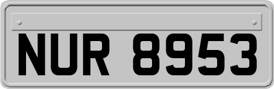 NUR8953