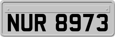 NUR8973