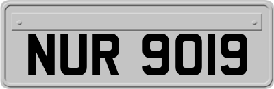 NUR9019