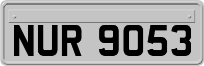 NUR9053