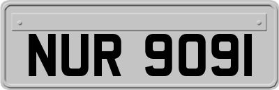 NUR9091