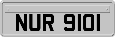 NUR9101