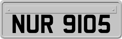 NUR9105