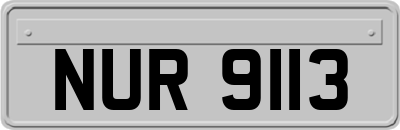 NUR9113