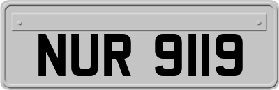 NUR9119