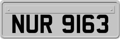 NUR9163