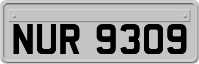 NUR9309
