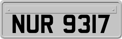 NUR9317