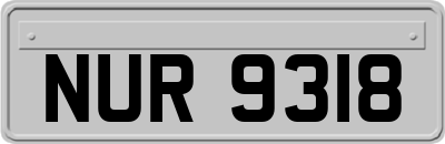 NUR9318