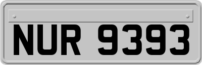 NUR9393