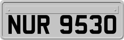 NUR9530
