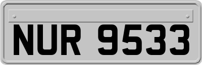 NUR9533