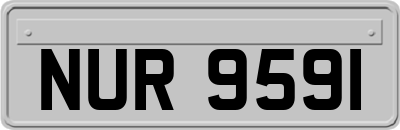 NUR9591