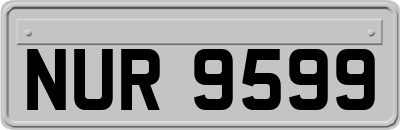 NUR9599
