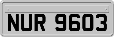 NUR9603