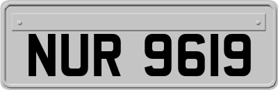 NUR9619