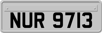 NUR9713
