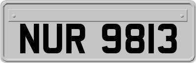 NUR9813