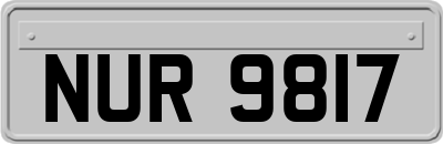 NUR9817