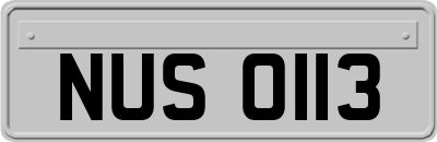 NUS0113