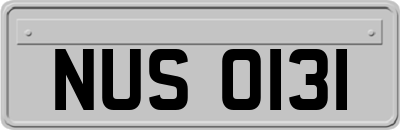 NUS0131