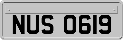 NUS0619