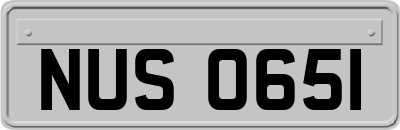 NUS0651