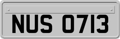 NUS0713