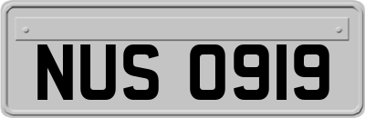 NUS0919