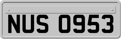 NUS0953