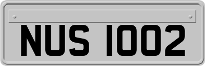NUS1002
