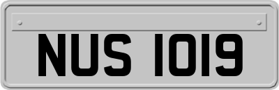 NUS1019