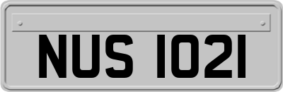 NUS1021