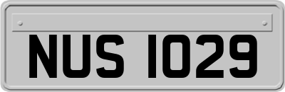 NUS1029