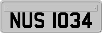 NUS1034