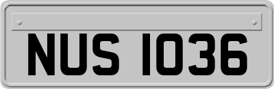 NUS1036
