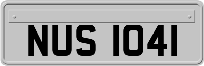 NUS1041