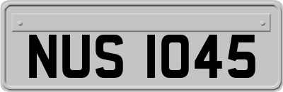 NUS1045