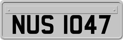 NUS1047