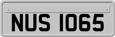 NUS1065