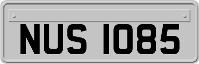 NUS1085