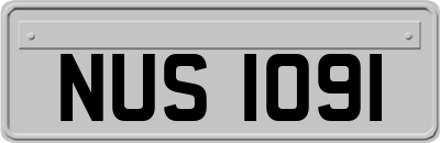 NUS1091