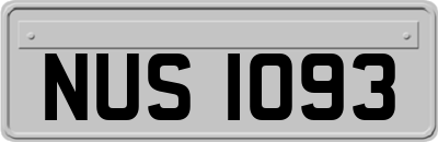 NUS1093